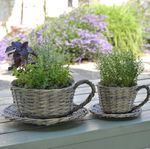 2 Willow Teacup Planters w/ Handles Wicker Basket Hand Woven Willow with Saucer