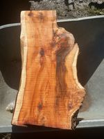 Yew,yew Wood,yew Length,yew Plank,yew Turning Blanks
