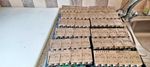 Phoenix Contact 2731571 IBS RL 24 DIO 8/8/8-LK-2MBD + 2731128 Mounting Plate