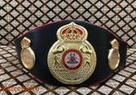 WBA World Boxing Association Title Belt Adult Full Size 3D Premium Quality Copy