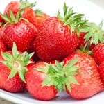 Strawberry 'Flamenco' Bare Root Everbearer Garden Bush Fruit Plants