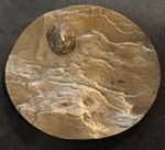 BRITISH ART MEDAL SOCIETY "GRAZING" 2018 ZOE PEARCE Bronze, 76mm, 165g