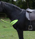 Fluorescent hi viz chest strap - yellow or pink - for horse riding - reflective