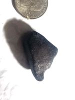 Buzzard Coulee meteorite 17.07 grams 99 % fusion crust  CAN. export permit incld