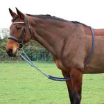 Hy Equestrian Lunging Aid - Schooling - Encourages horse to work over the back