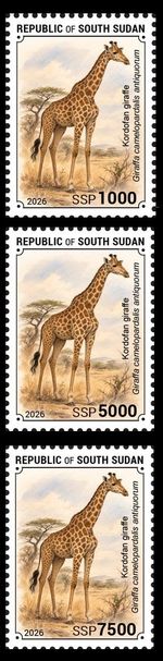 SOUTH SUDAN 2026 SET 3V - WILDLIFE - GIRAFFES GIRAFFE GIRAFE GIRAFES - MNH
