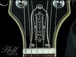 BAGATELLE 3-HOLE Brass Truss Rod Cover. Fits most Epiphone, Les Paul, SG + more