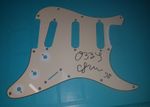 OZZY OSBOURNE Hand Signed Guitar Scratchplate Fender Stratocaster Memorabilia 