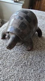 Gorgeous George The Lucky Wooden Tortoise