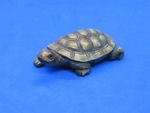 Japanese wood vintage Victorian Meiji Period oriental antique tortoise netsuke