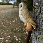 Wooden walking stick hand carved beautiful OWL handmade wooden walking cane