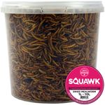 SQUAWK Dried Mealworms - Premium Quality Wild Bird Food Garden Snacks For Birds