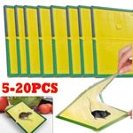 20pcs Heavy Duty Mouse Glue Large Sticky Pads Rat Pest Control Rodent UK
