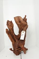 Driftwood #17 - Aquascaping, Terrarium, Vivarium, Ornamental Decor