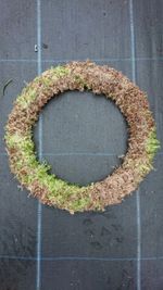 Fresh Christmas Moss Wreath Base Ring 14" large 