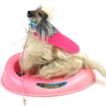 Vintage Barbie Dog Dog Beauty Afghan Mattel 1979 + Access - Miss a leg
