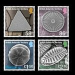 BRITISH ANTARCTIC TERRITORY   2025, DIATOMS, 4v., MNH