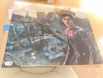 Tom Holland Signed Mini Poster - 20x16 - SWAU COA - In Hand - Spider-Man signed