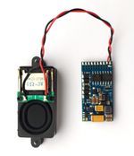 ESU 21 Pin LokSound V5 DCC Sound Decoder & HiFi Speaker - Custom Diesel Sound