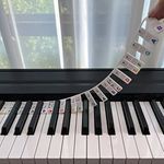PIANO KEYBOARD NOTE LABELS REMOVABLE SILICONE PIANO STICKERS 61 KEYS REUSABLE UK