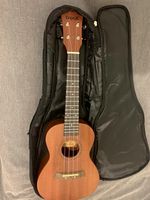 DripeX Soprano Ukulele 4-String Brown Wood, Bag Included, U-023
