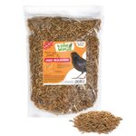 Love Wildlife Dried Mealworms - Premium Quality Wild Bird Food - Treat Tub, Worm