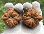 Hand massage ball concave Nan Jiang stone wenwan walnut
