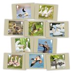 Ducks Stamps Postcards from Royal Mail
