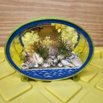 Vtg Fish Aquarium Frutiger Aero  Green Blue Seashells Made In Japan Desk Display