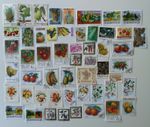 Fruit Stamps Collection - 50 to 200 Different Stamps 