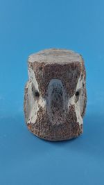 Fossil Vertebrea Of Prehistoric Dolphin Speices 12 Million Years Old