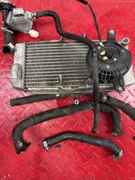 Suzuki Gsxr 250 2017 Radiator.fan,hoses, Thermostat.sensor