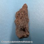 H5 common chondrite high iron meteorite - space rock