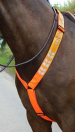 Shires Equi-Flector Horse/Pony Breastplate in Reflective | Pink/Orange/Yellow