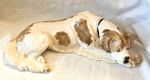 Rosenthal Germany St. Bernard Dog Figurine Lying EUC