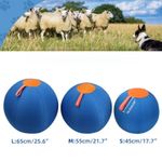 Ruckus Herding Ball Dog Extra Large Enrichment Ball Tear Resistant Cover Pump~