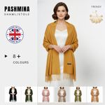 Luxury Pashmina Shawl Women Scarf Wrap Long Large Winter Wool Cashmere Stole