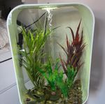 biOrb Corner 30L Acrylic Freshwater Aquarium 100s Colours LED Light