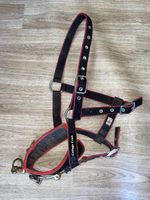 Cottage Craft Lunging Cavesson Pony (D)