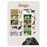 Royal Mail Dogs Stamps - Collectors Sheet
