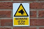 BEWARE OF THE DOG A5 plastic or dibond sign or sticker security warning 
