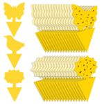30pcs Fruit Fly Traps Sticky Fungus Gnat Catcher Insects Bug Killer Waterproof 