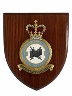 16MU Maintenance Unit Royal Air Force Stafford Mess Wall Plaque Shield Crest RAF