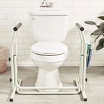 Safety Lavatory Support  Assist Mobility Toilet Aid & Safety Rail Grab & Holder