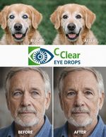 N-Acetyl-Carnosine Eye Drops 2% & 4.2% Natural Eye Care Solution 10ml 