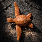Hand Carved Driftwood Turtle Sitting On Driftwood
