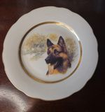 Vintage German Shepherd Plate USSR Made | Gold Trim | Dog Lover Gift