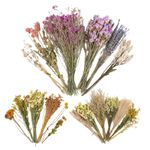 Natural Hamster Bedding Edible Flowers Herbs Sprays for Edible Grain