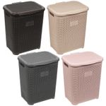 45L Plastic Laundry Basket Dirty Clothes Washing Storage Hamper w/ Handles & Lid