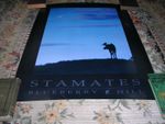 JIM STAMATES Moose Poster 34" X 24" BEAUTIFUL BRIGHT COLORS.(Artist Foot Mark)